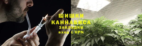 хмурый Верхний Тагил