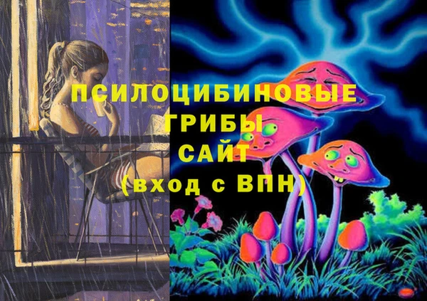 хмурый Верхний Тагил